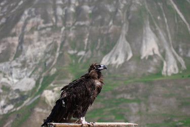 Similar image 22042200