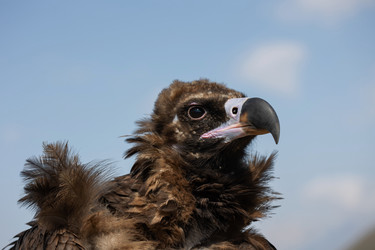 Similar image 22042201