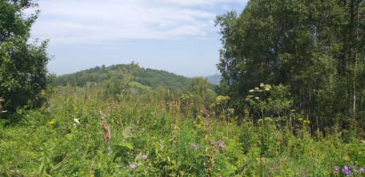 Similar image 22040826