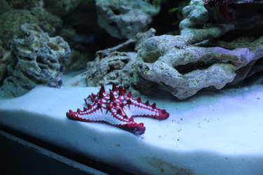 Similar image 22037818