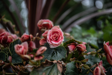 Similar image 22041698