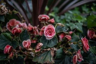 Similar image 22041699