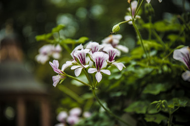 Similar image 22041700