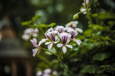 Similar image 22041701