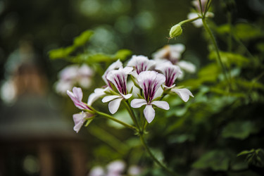 Similar image 22041702