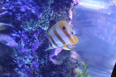 Similar image 22037819