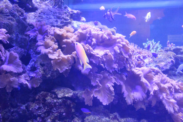 Similar image 22037821