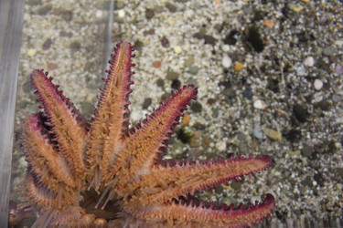 Similar image 22037822