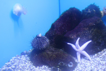 Similar image 22037825