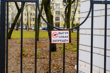 Similar image 22028033