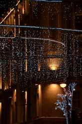 Similar image 22021994