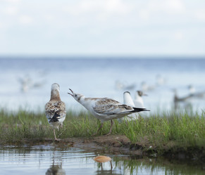 Similar image 22040830