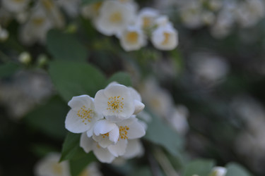 Similar image 22021843