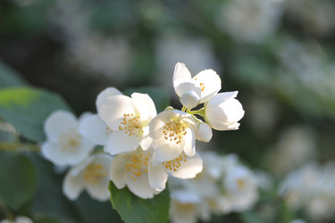 Similar image 22021844