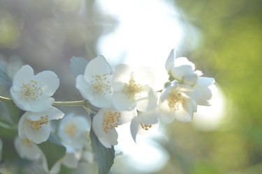 Similar image 22025016