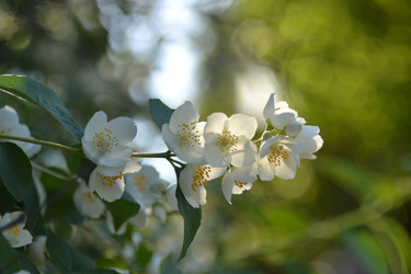 Similar image 22025019