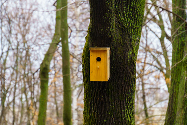 Similar image 22028508