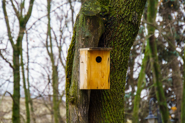 Similar image 22028509