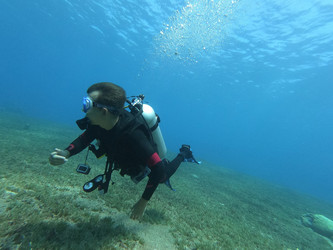 Similar image 22024857