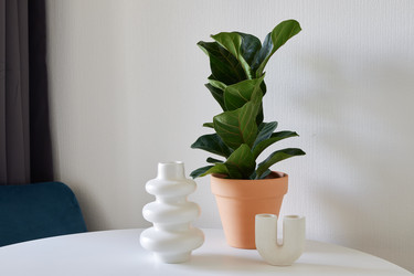 Similar image 22024372