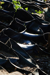 Similar image 22024374