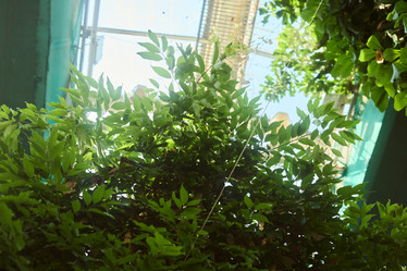 Similar image 22024390