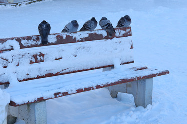 Similar image 22024402