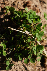 Similar image 22024407