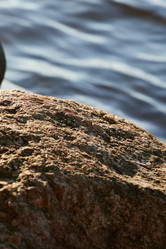 Similar image 22024411