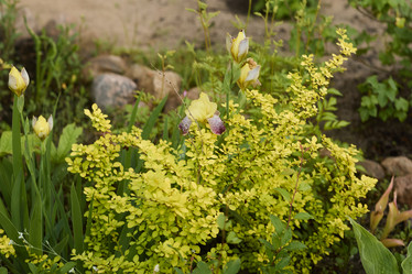 Similar image 22024412