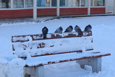 Similar image 22024415