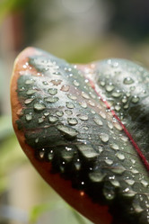 Similar image 22024419