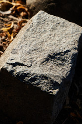 Similar image 22024426