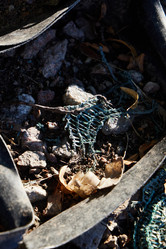 Similar image 22024859