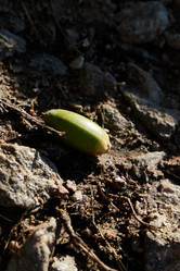 Similar image 22024861