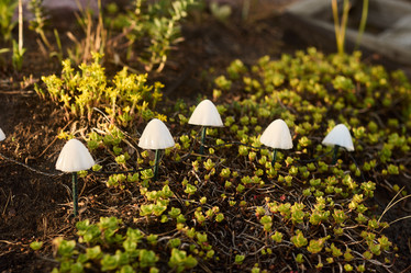 Similar image 22024863