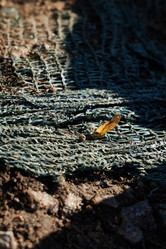 Similar image 22024432