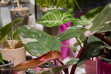 Similar image 22024433