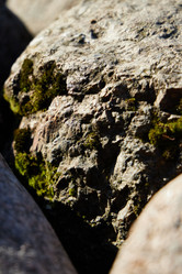 Similar image 22024436