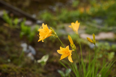 Similar image 22024439