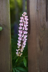 Similar image 22024448