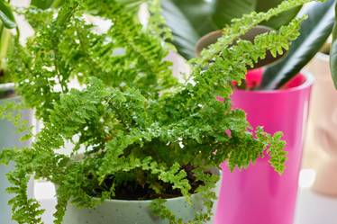 Similar image 22024450