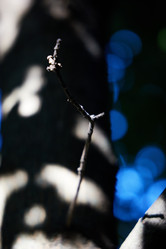 Similar image 22024453