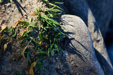 Similar image 22024454