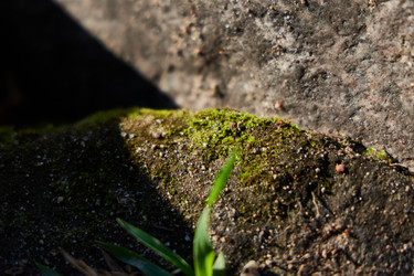 Similar image 22024455