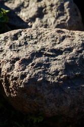 Similar image 22024458