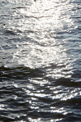 Similar image 22024459