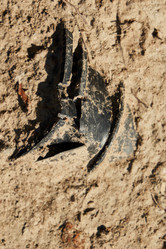 Similar image 22024463