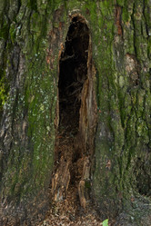 Similar image 22024464