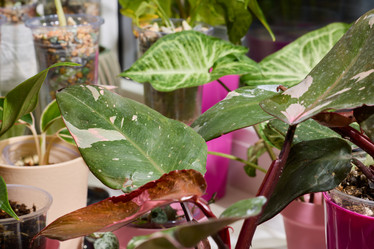 Similar image 22024869